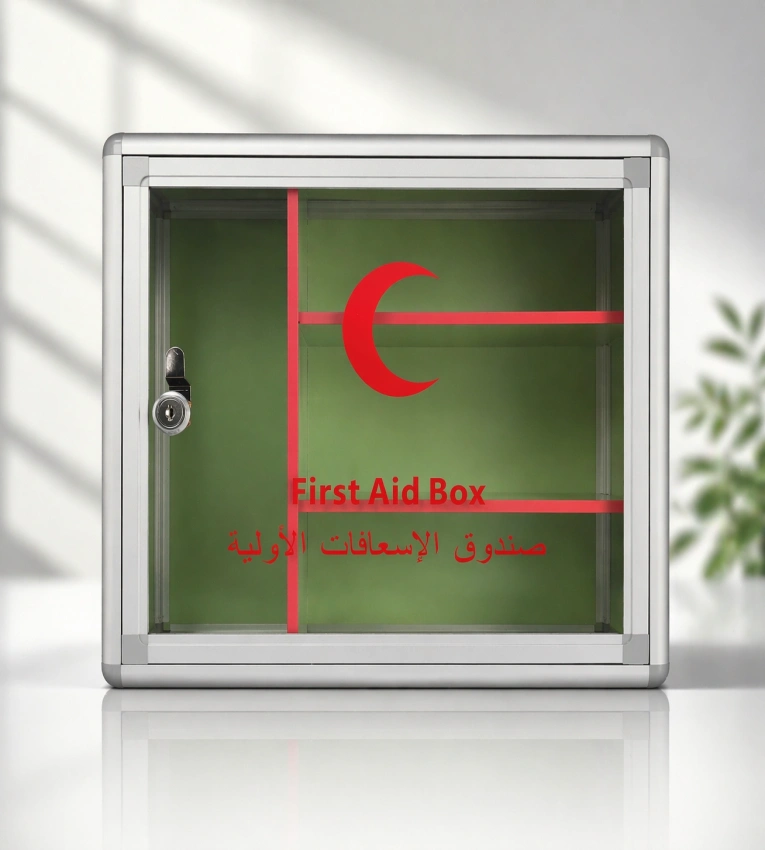Grande boîte à pharmacie métallique idéale pour organiser et sécuriser médicaments et accessoires de premiers secours à la maison, bureau ou école