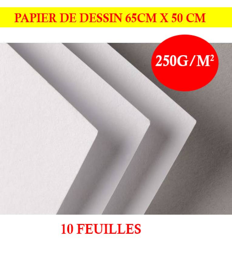 Lot de 10 feuilles raisin Canson "C" à grain, papier de dessin de grain fin, format 50 x 65 cm , grammage 250g/m².