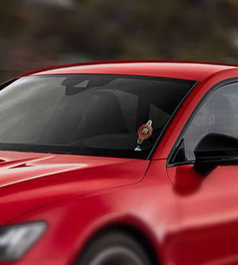 Macaron Royaume du Maroc avec support