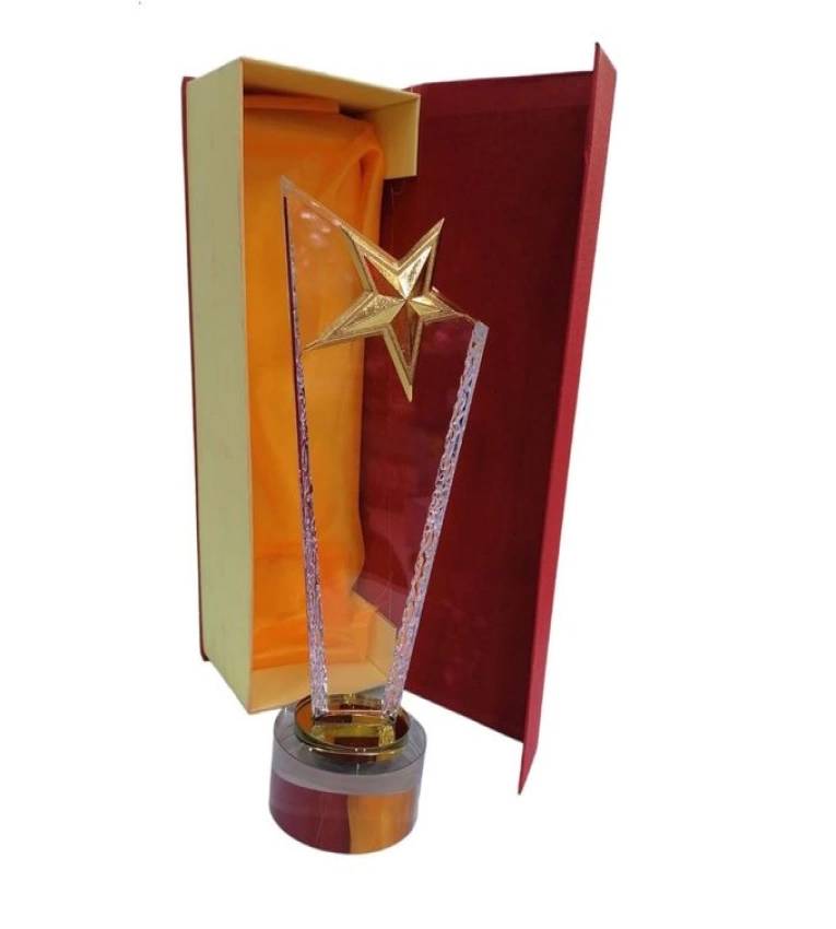 Standard Plaques Crystal Award Trophée avec étoile en verre, Glass Trophies