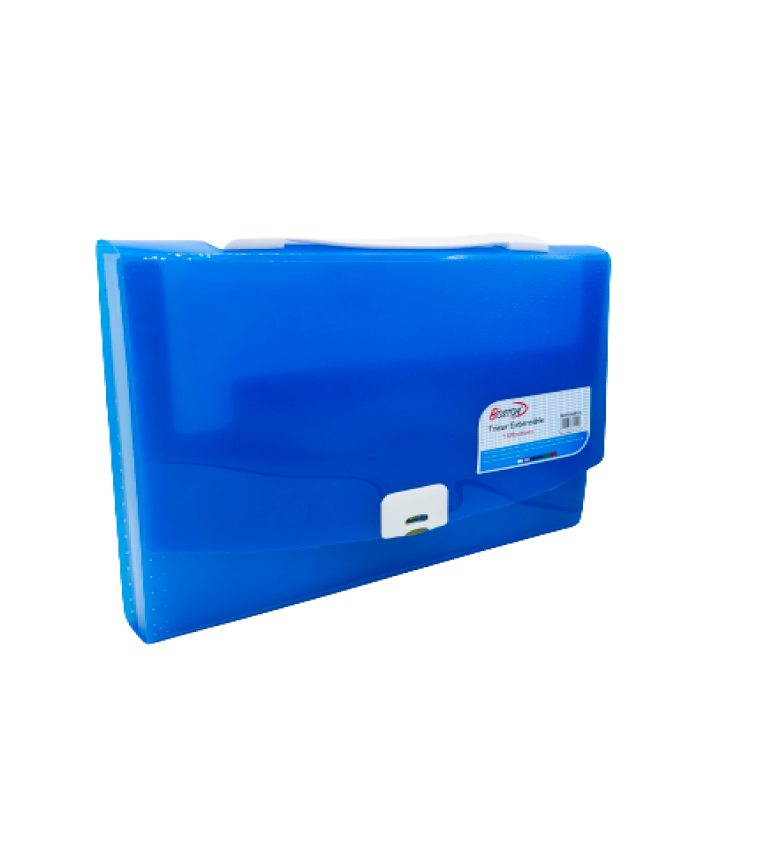 Organisateur extensible Boston 12 positions : Maximisez l'efficacité.