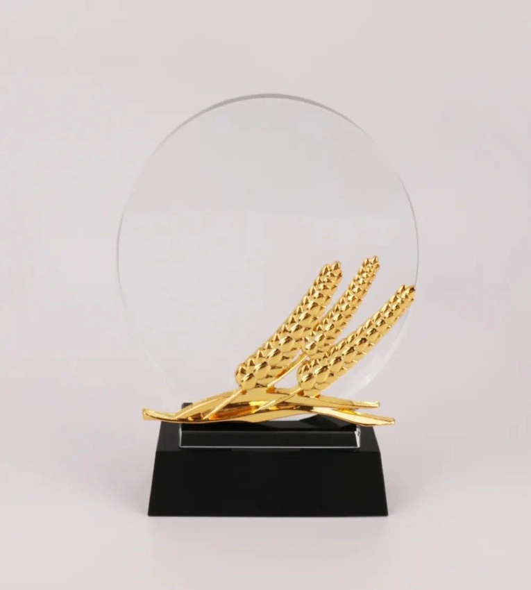 Trophée en verre et bois, élégant et idéal pour le bureau, avec un luxueux coffret souvenir pour une présentation spéciale.