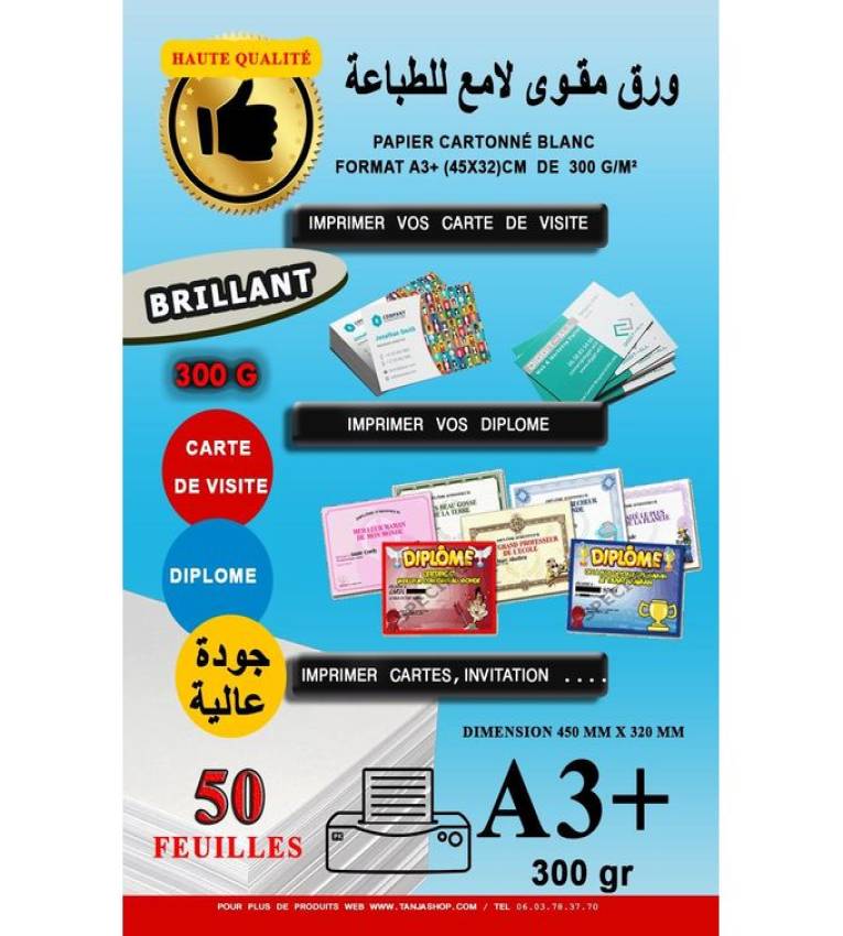 Pack 50 Feuilles Papier 300g A3+ (45x31cm) cartonné