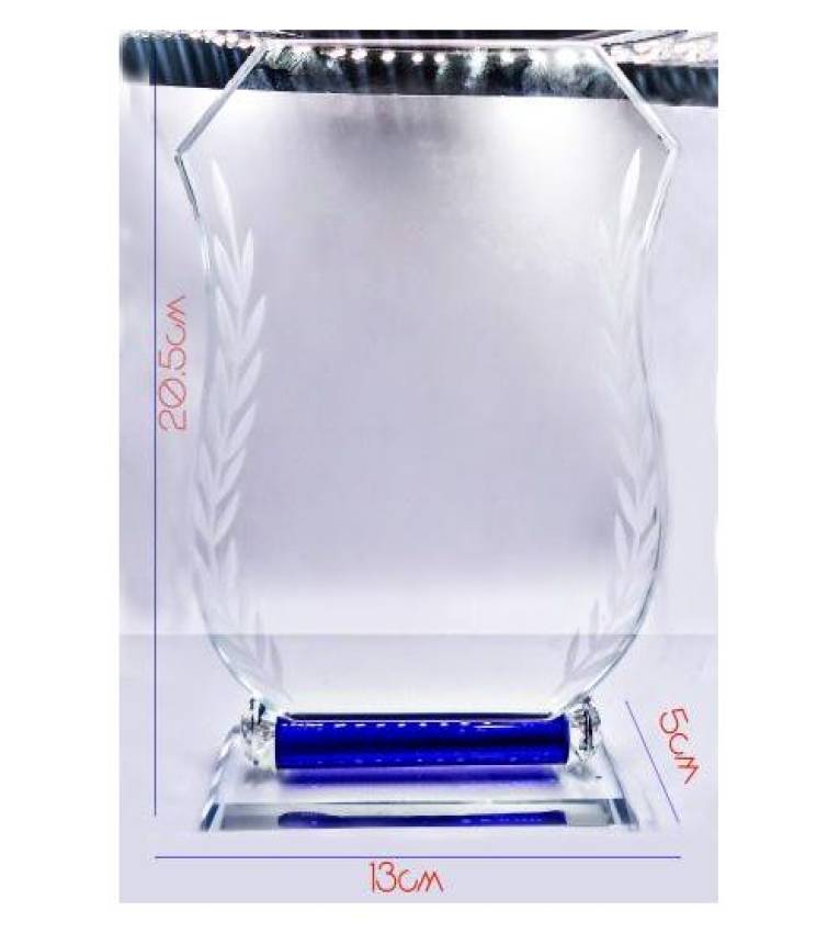 Plaque trophée en verre personnaliosable , Grand Taille