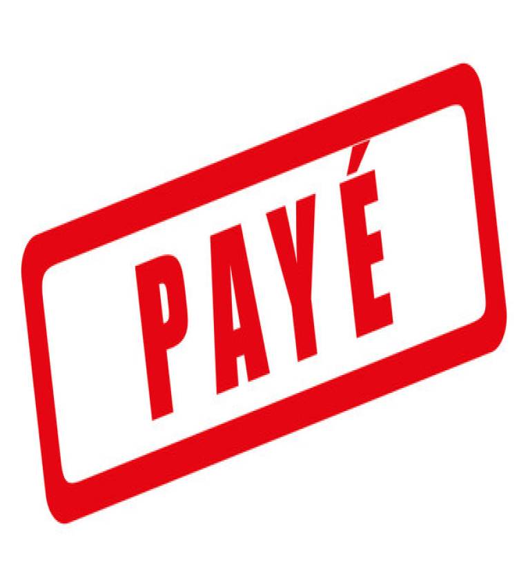 Tampon encreur  Professionnel PAYE Trodat 4912 , Encre à Séchage Rapide ,Formule Commerciale